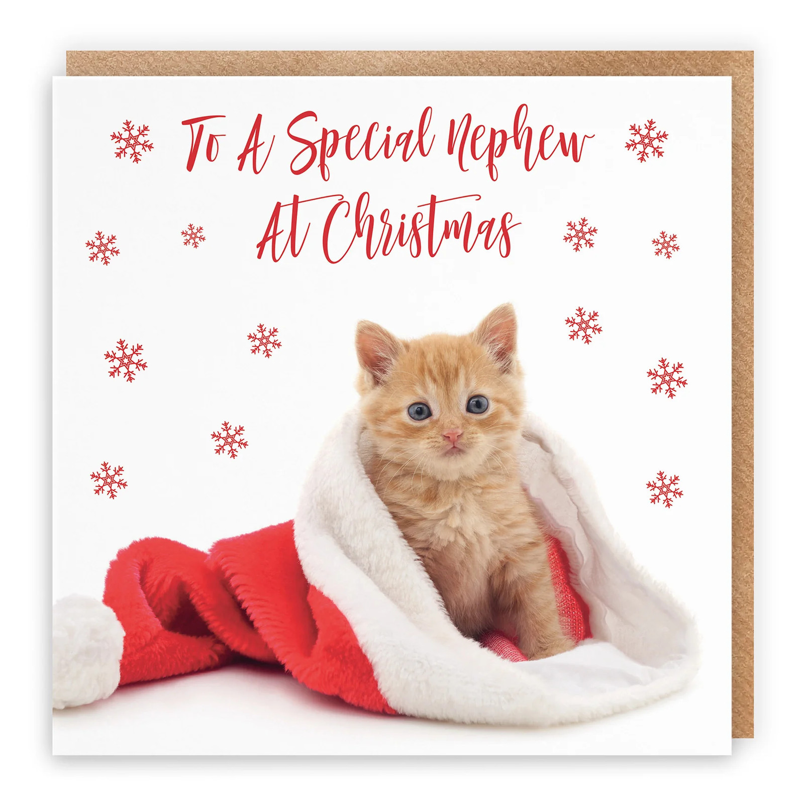 Nephew Christmas Card Kitten