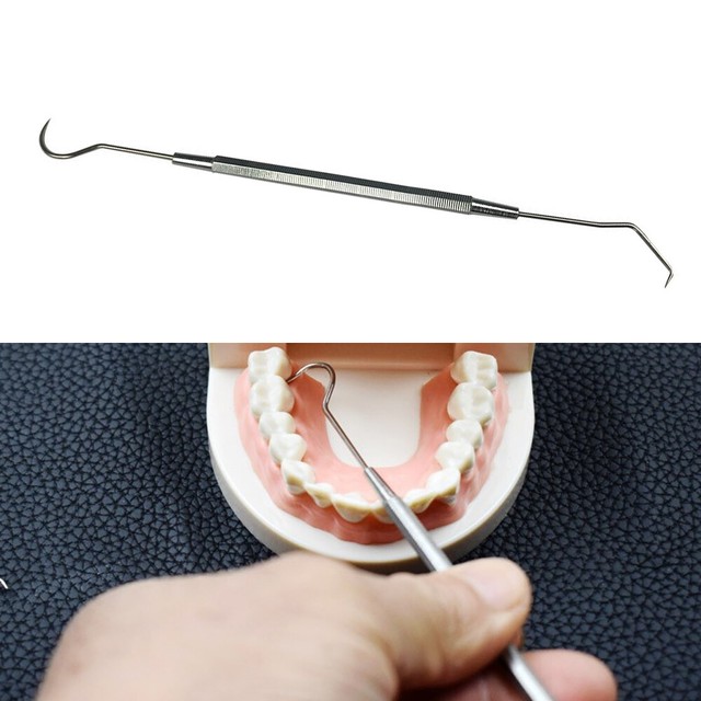 Dentist Teeth Clean Care Explorer Probe Hook Pick Stainless Steel