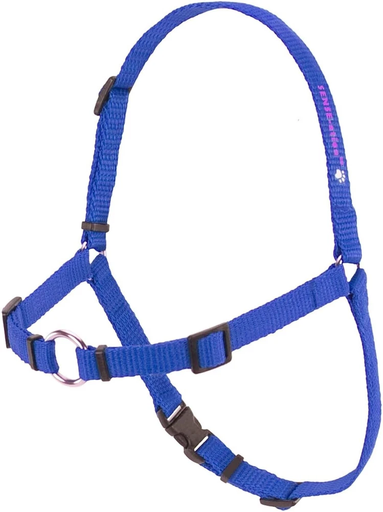 Dog Harness Training/Walking Medium/Large 1" Blue SENSE-ation® No-Pull