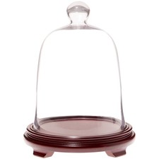 Plymor 8.5" x 11" Bell Jar Glass Display Dome Cloche Red Wood Veneer Footed Base