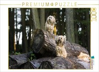 Calvendo Puzzle Two Little Goblins In The Forest. | 1000 Pieces, Finished Size 2