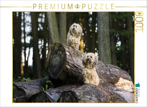 Calvendo Puzzle Two Little Goblins In The Forest. | 1000 Pieces, Finished Size 2-image