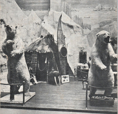 PPIE San Francisco CA Liebes Fur Exhibit Postcard Panama Pacific Exposition