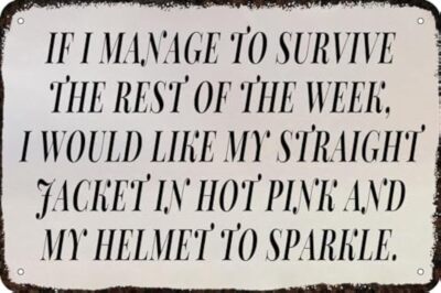If I Manage to Survive I Would Like My Straight Jacket in Hot Pink and My Helmet