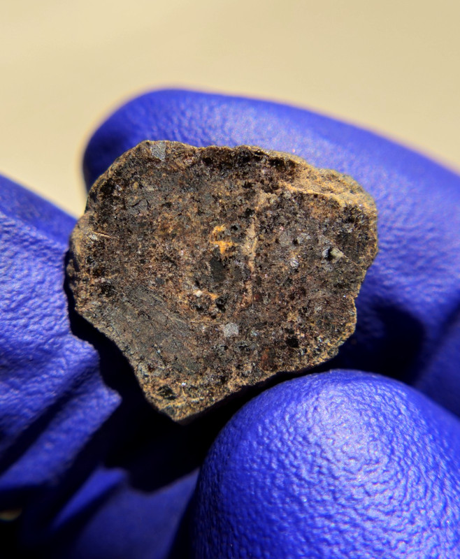 NWA 2907 Ungrouped Achondrite Meteorite 1.544g Part Slice Rare COA