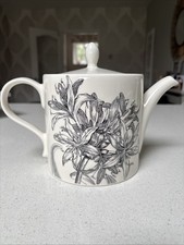 Beautiful Portmerion Tea Pot