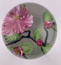 Daniel Salazar Lundberg Studios 1985 Cherry Blossoms Art Glass Paperweight