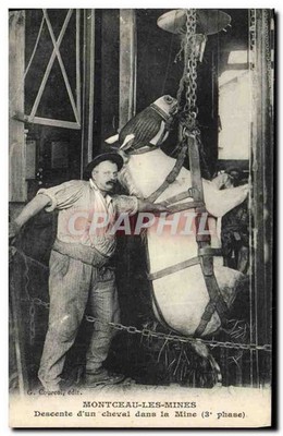 Montceau-les-Mines - Abstieg eines Pferdes in die Mine (3. Phase) - G. Courcol, 