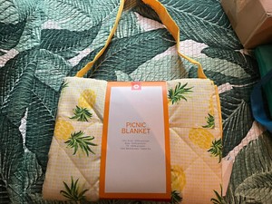 BRAND NEW PINEAPPLE PICNIC BLANKET