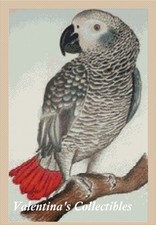 Grey Parrot Counted Cross Stitch CHART No. 2-363/2