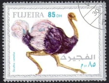 Ostrich (Struthio camelus) stamp