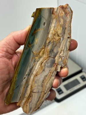 Gary Green Caldera Freedom Jasper Slab Cabbing Lapidary Combo Ship Avail