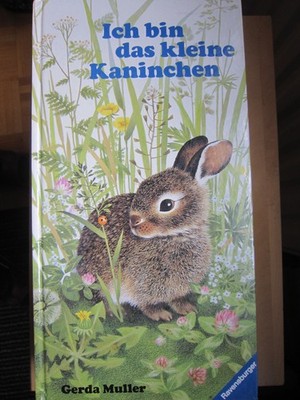 Gerda Muller: Ich bin das kleine Kaninchen -  Pappbilderbuch Großformat 1988