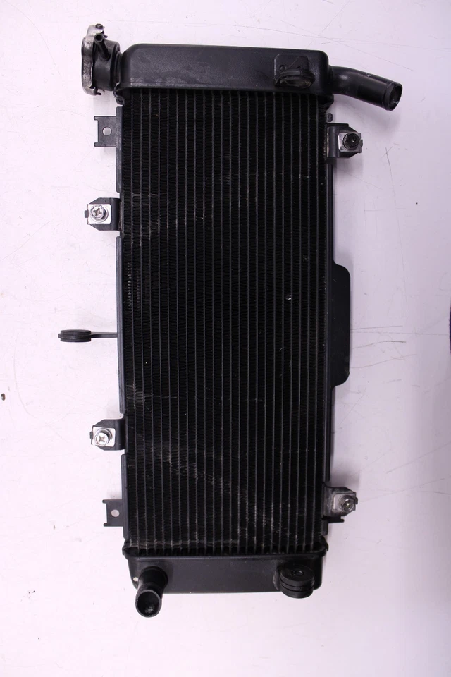 17-19 KAWASAKI Z650 ZR650 ABS ENGINE RADIATOR MOTOR COOLER COOLING RADIATER - Image 2 of 4