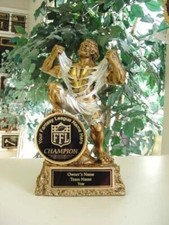 FANTASY FOOTBALL TROPHY INDIVIDUAL RESIN MONSTER AWARD FFL FREE ENGRAVING 