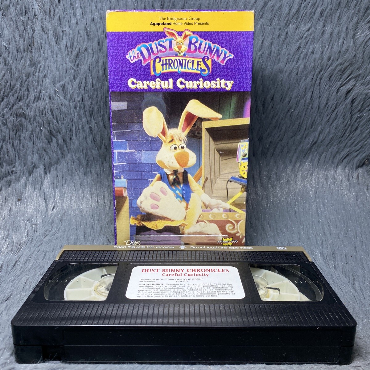 【VHS】Domestic child ビデオ2本セット　ドメチャ The Dust Bunny Chronicles Careful Curiosty VHS Tape Agapeland Home