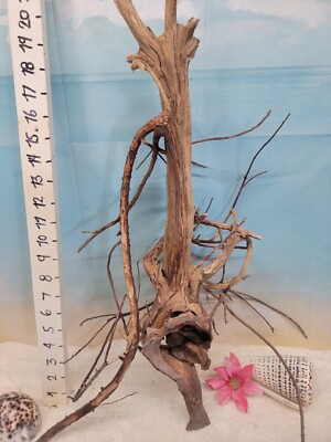  Manzanita driftwood premium aquarium wood aquascape decor reptiles bird perch