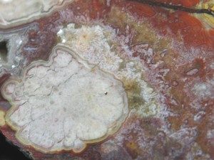 PJ-Crazy-Lace-Agate-Slab-More-Beauty-7-Ozs