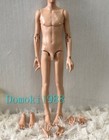 1/4 BJD Doll DollShe DS Boy Body Normal Skin - Only Body (No head)