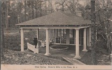 Clear Spring, Brown's Mills in the Pines N.J. Antique Postcard Unposted VTG B&W