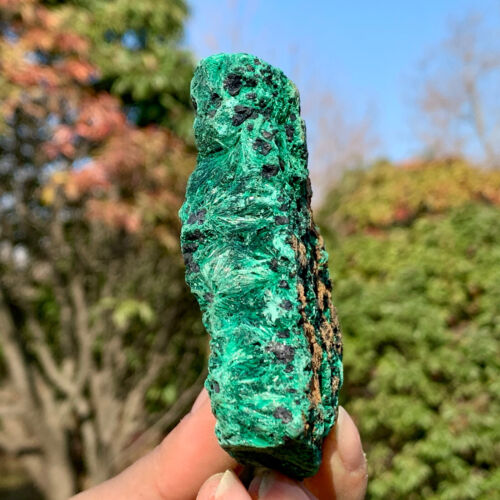 219G Natural VELVET Malachite cat's eye specimen crystal rough mineral-Congo - Picture 9 of 24