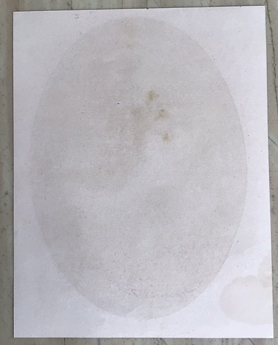 Vintage Art Print India Kitsch Woman Oval Profile Rare - Picture 3 of 3