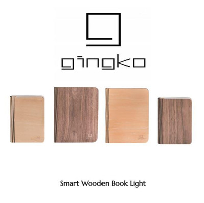 LED Wiederaufladbare Buchleuchte USB Naturholz oder Leder Tyvek Papier Mini/Groß