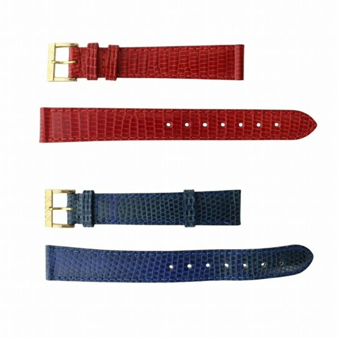 Ceinture de remplacement Christian Dior pour montres lot de 2 pièces rouge bleu
