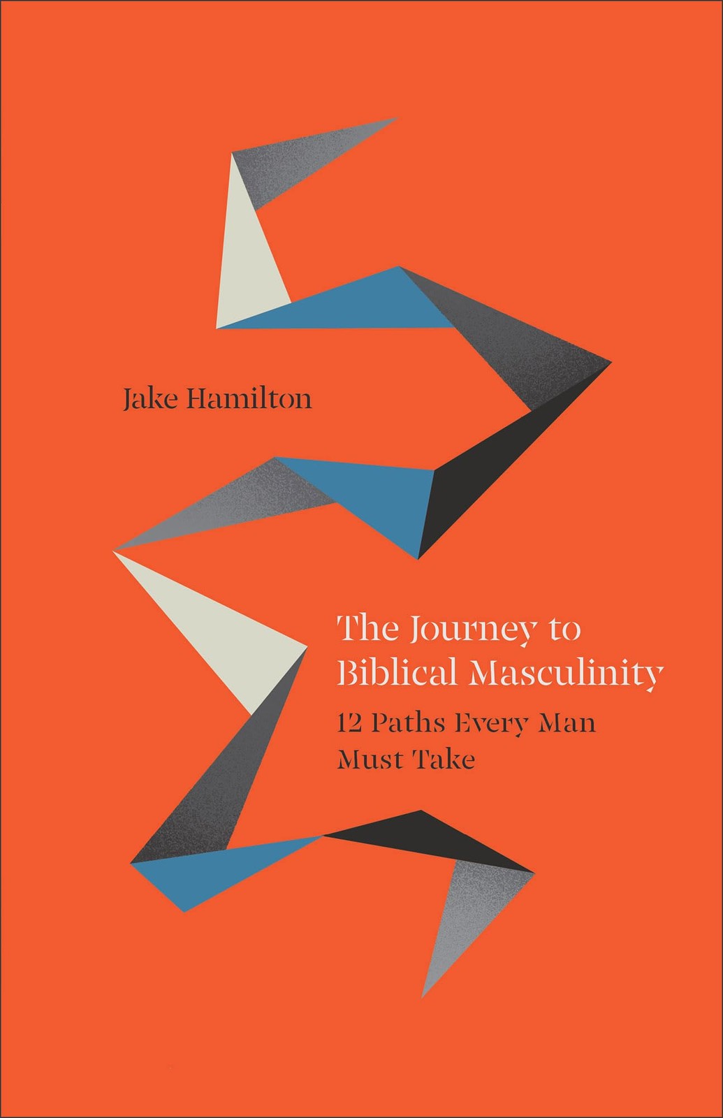 The Journey to Biblical Masculinity: 12 Paths Every by Jake Hamilton (PB 2024) - Image 3