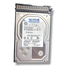 HP 2TB 3.5" SAS II 7.2K HDD MB2000FCZGH 698695-001 HUS724020ALS640 Mit Caddy Rah