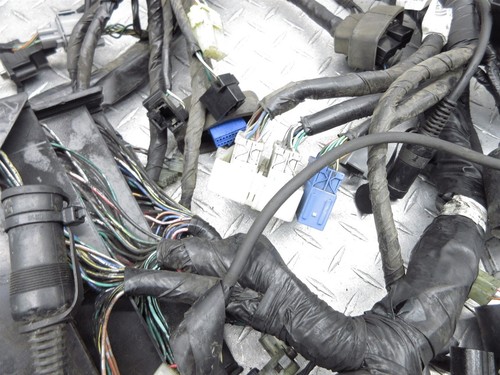2004 01-05 Honda GL1800 Goldwing Main Engine Wire Wiring Harness Loom Cable OEM - Picture 2 of 24