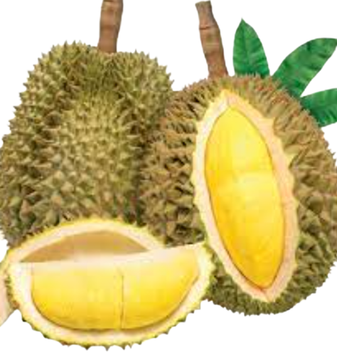 Candy Durian Chewy My Milk Flavor Fruit Flavour Sweet Monthong 360 g 100 pcs. - Picture 5 of 6