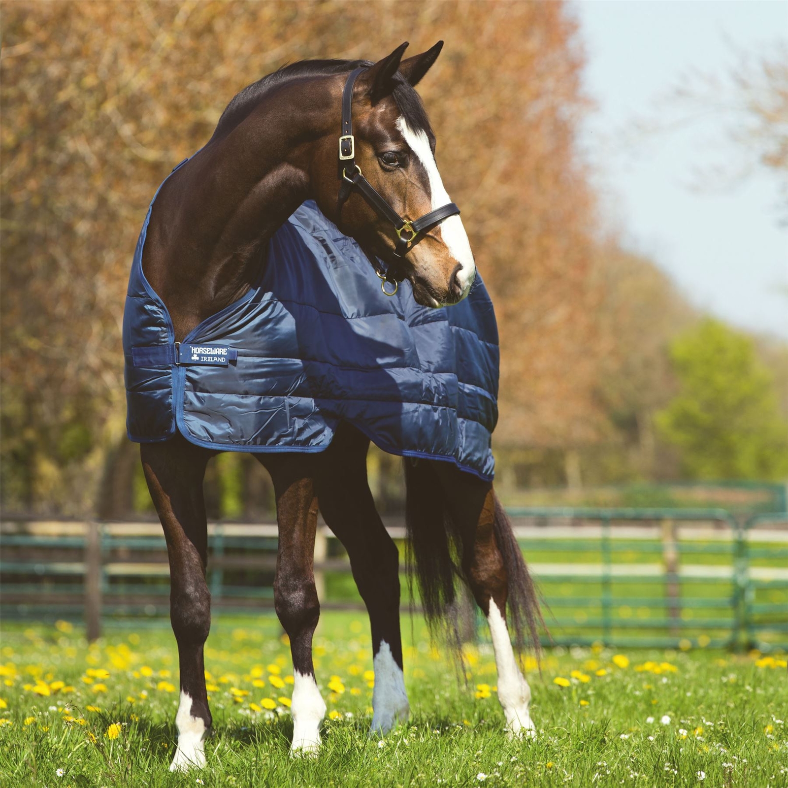 Horseware Ireland Tenue Cheval Revêtement 400 Abad64 Horseware Ireland Tenue Cheval Revêtement 400 Abad64