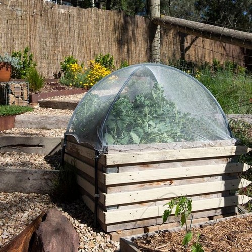 Backyard Farmer 2.5 x 2.5m x 5mm Anti Bird Net , Available in a variety of sizes - Picture 2 of 3