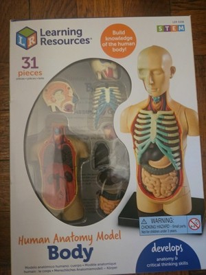 Learning Resources Human Anatomy Model Body 31 pc Learning Home School New!