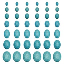 arricraft About 108 Pcs Synthetic Turquoise 7 Sizes, Flat Back Oval