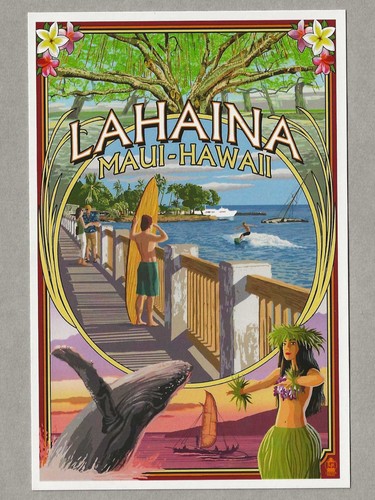 14 Hawaii Souvenir Post Cards Island Culture and Dole Plantation Information - Picture 8 of 15