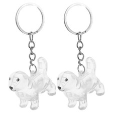 2 Pcs Dog Hair Keepsake Keychain Cat Pet Memorial Storage Pendant Keyring