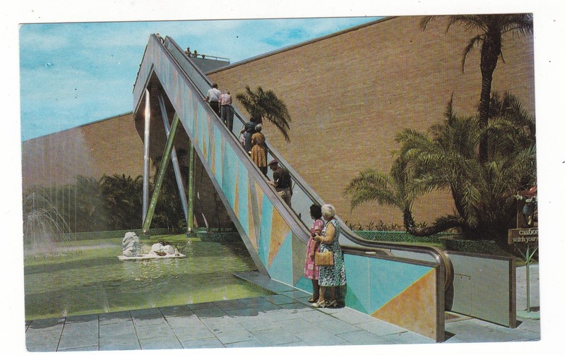 Tampa, Florida vintag postcard  / Bud Brewery / stairway to the stars