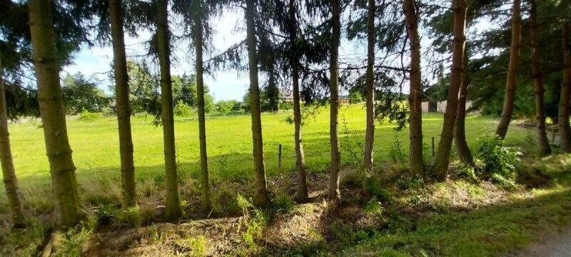 Bild 1 von 21