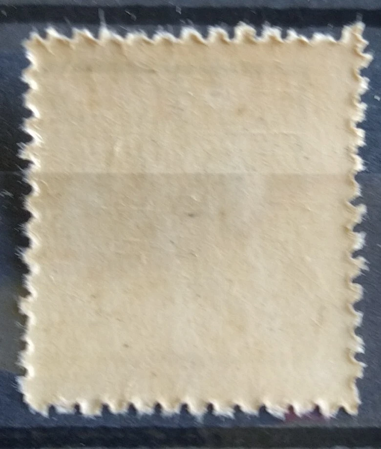 Cinderella Vignette Meeting Aérien Nantes Aviation Nantes Août 1910 Neuf** - Photo 2/2