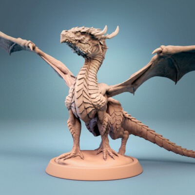 Baby Dragons by Rescale Miniatures | D&D | DnD | Print on Demand