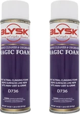 BLYSK Magic Foam Cleaner and Degreaser, 18oz (2 Pack) - Fast Acting