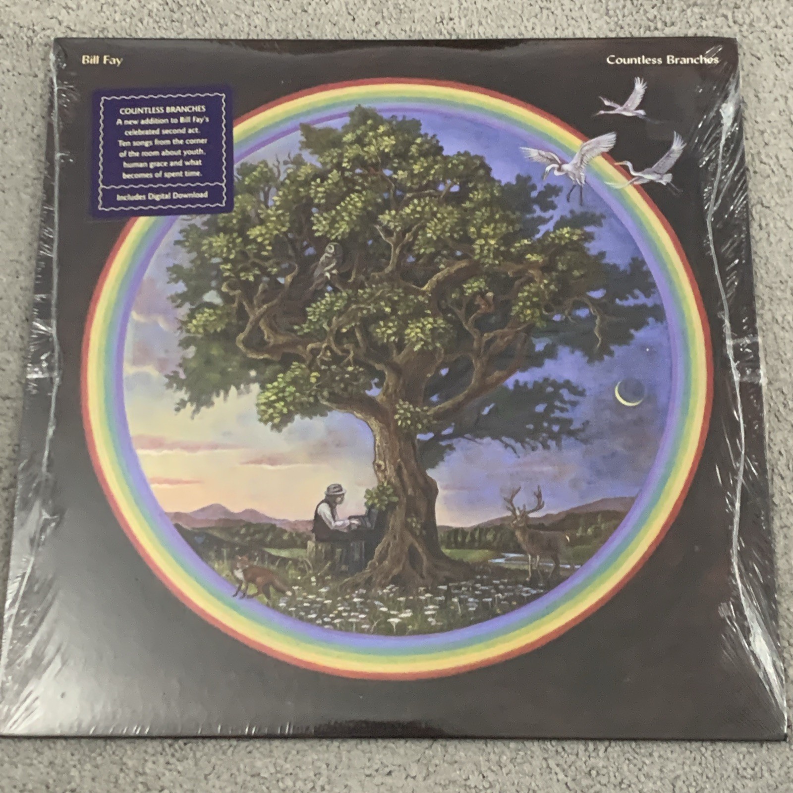 Countless Branches by Bill Fay (Record, 2020) New Sealed