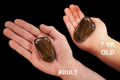 BRONZITE Tumbled 2 1/2'' 3-6 Oz Rocks and Minerals Root Chakra Natural Specimens