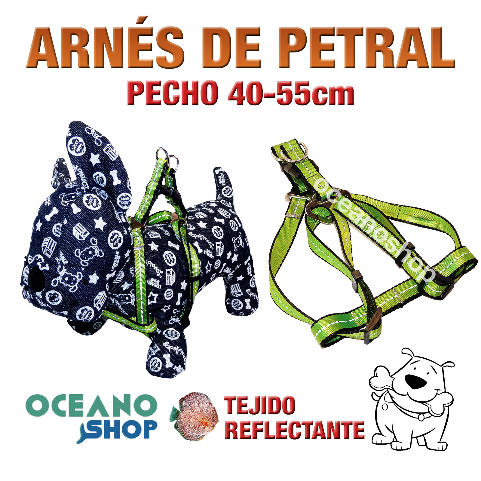 Imagen 1 de 1