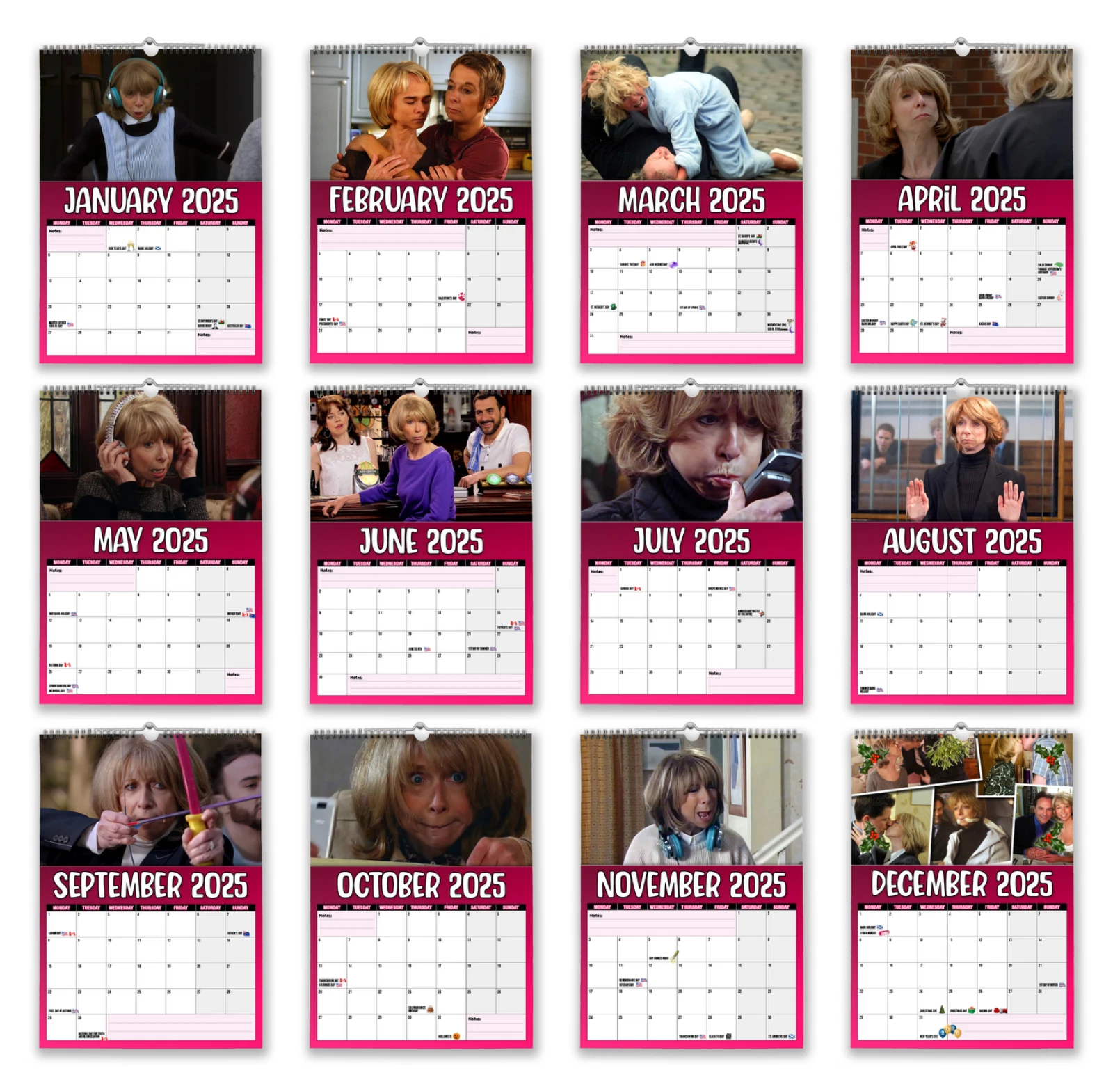 2025 Calendar - Gail Platt – Funny - Quirky - Christmas - Birthday