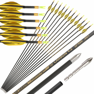 12X 31'' Carbonpfeile Bogenschießen SP700-1000 Spin Wing Compound Bogen Jagd 001''