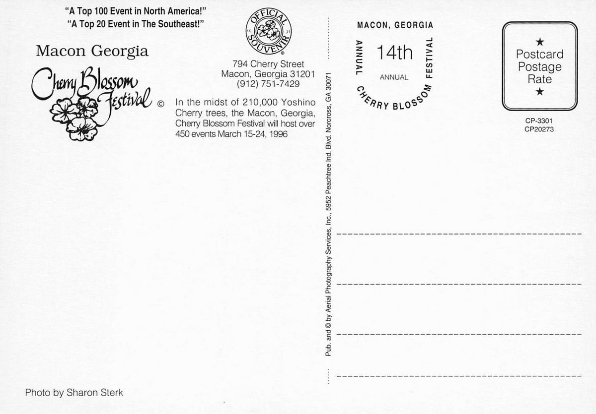Continental Postcard Cherry Blossom Festival Macon Georgia | eBay