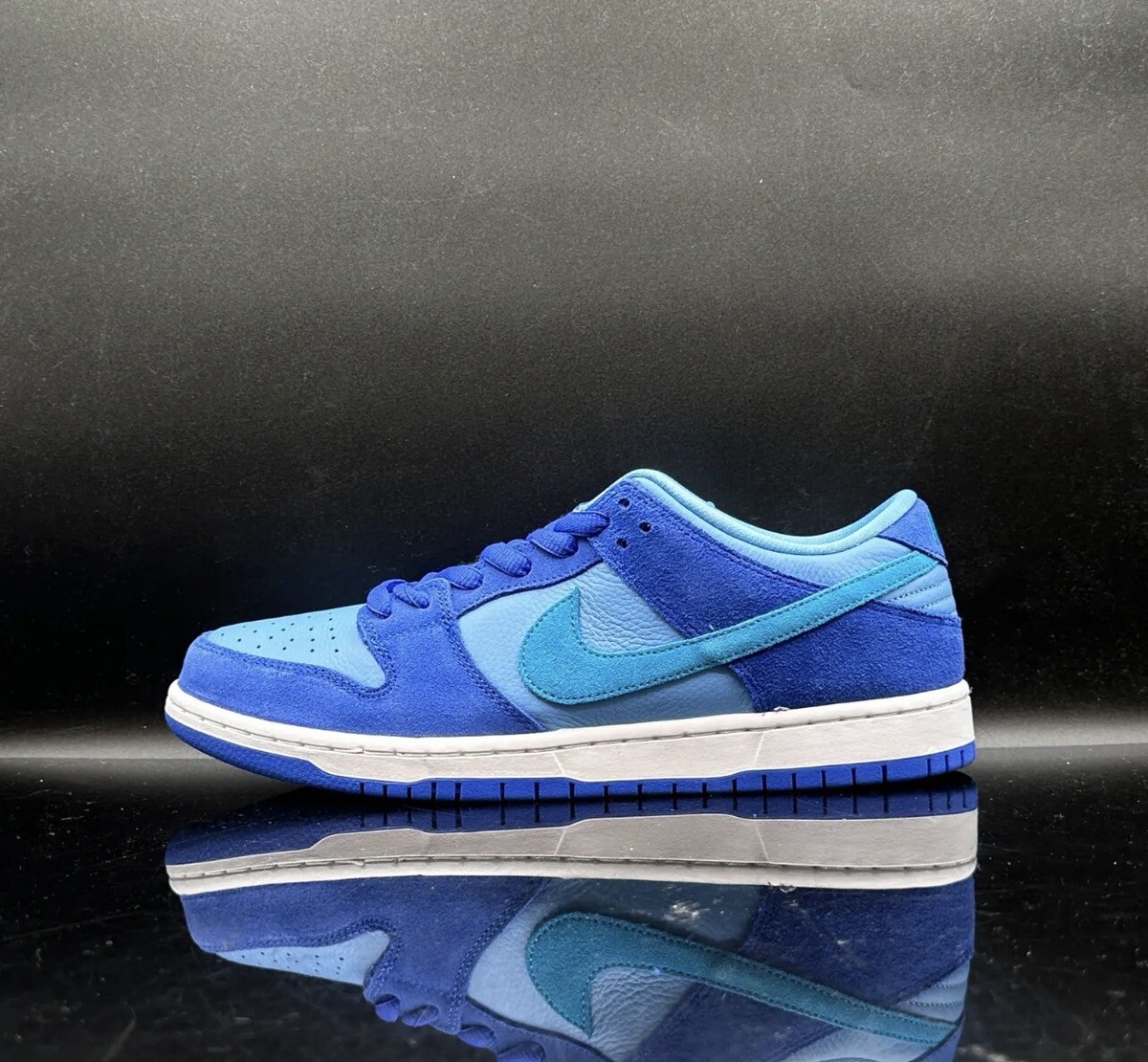 Size 10 Nike Dunk Low Pro SB Fruity Pack - Blue Raspberry DM0807